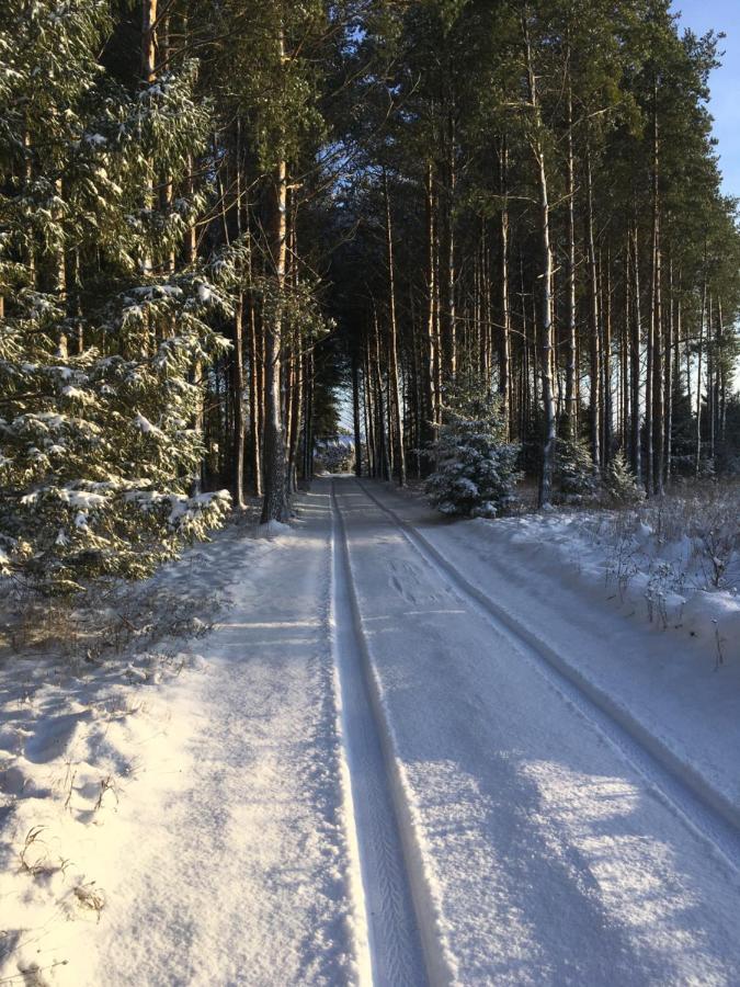 Kaeaenu Puhkemaja Villa Rakvere Kültér fotó